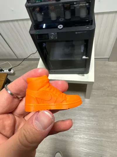 https://makerworld.bblmw.com/makerworld/model/1854176/1982432/ratings/ec047a00-cfd7-11f0-98e8-9323ee55c4e0.jpg