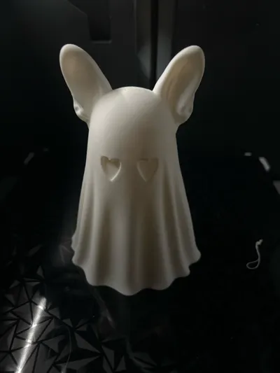 https://makerworld.bblmw.com/makerworld/model/1855117/1983556/ratings/3849e2d0-a213-11f0-ac9e-5747c9319a92.jpg