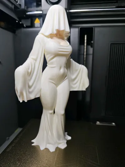 https://makerworld.bblmw.com/makerworld/model/1855829/1984377/ratings/0500af00-f784-11f0-b160-cfe1643a72e5.jpg