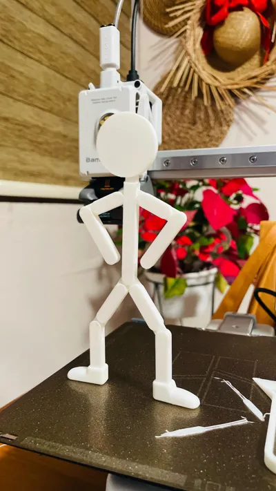 https://makerworld.bblmw.com/makerworld/model/1856438/1985086/ratings/a21c3370-e845-11f0-92ec-0948591002b2.jpg