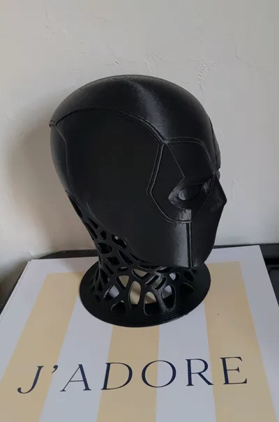 https://makerworld.bblmw.com/makerworld/model/1858650/2438505/ratings/6c2c7f40-fba0-11f0-b27a-4bf5f489473b.jpg