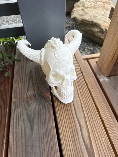 https://makerworld.bblmw.com/makerworld/model/1858947/1987973/ratings/82cc56d0-a4de-11f0-8b32-0d7ef8c1b554.jpg