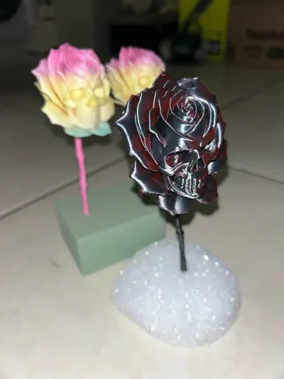 https://makerworld.bblmw.com/makerworld/model/1860345/1993964/ratings/18cbad90-a7c6-11f0-a273-e52e43e4560b.jpg