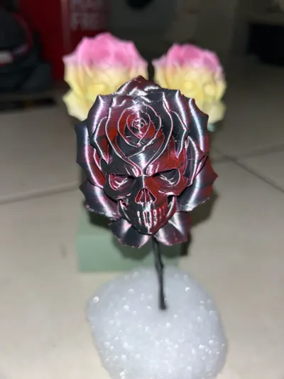 https://makerworld.bblmw.com/makerworld/model/1860345/1993964/ratings/18d0b6a0-a7c6-11f0-a273-e52e43e4560b.jpg
