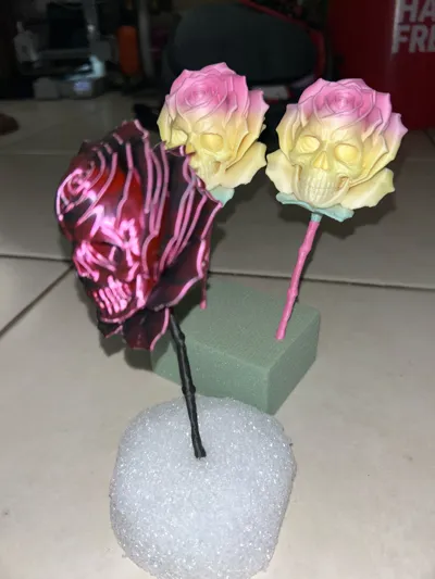 https://makerworld.bblmw.com/makerworld/model/1860345/1993964/ratings/18f136f0-a7c6-11f0-a273-e52e43e4560b.jpg