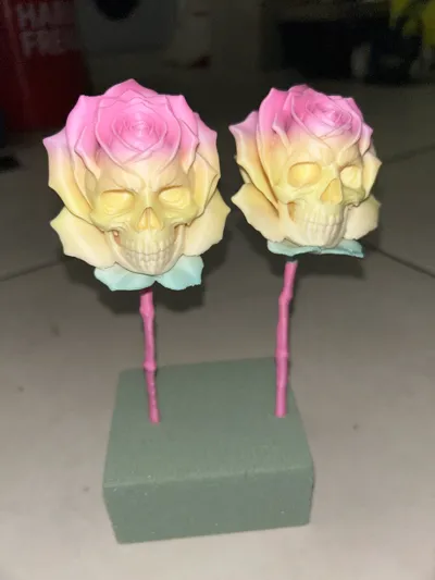 https://makerworld.bblmw.com/makerworld/model/1860345/1993964/ratings/18f44430-a7c6-11f0-a273-e52e43e4560b.jpg