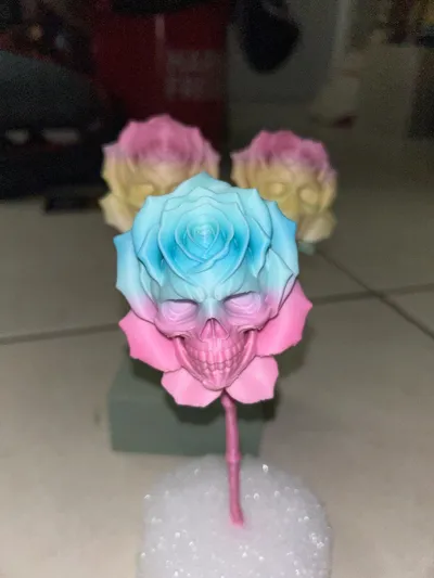 https://makerworld.bblmw.com/makerworld/model/1860345/1993964/ratings/18fea470-a7c6-11f0-a273-e52e43e4560b.jpg