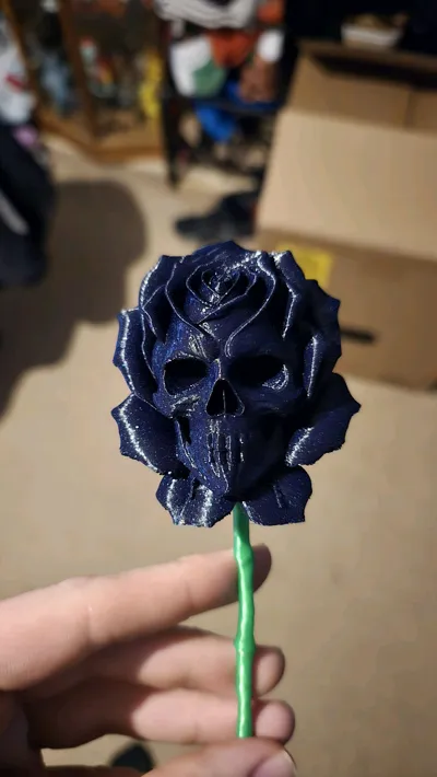 https://makerworld.bblmw.com/makerworld/model/1860345/2002445/ratings/30dacad0-ef2c-11f0-83d8-75eab16705a5.jpg