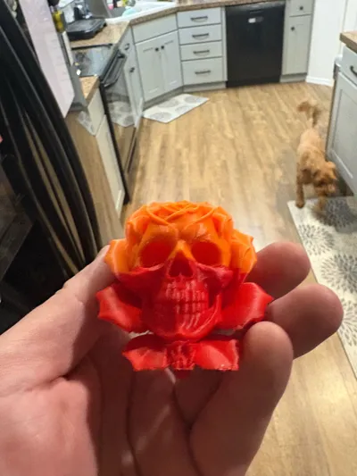 https://makerworld.bblmw.com/makerworld/model/1860345/2002445/ratings/3c6e1b20-aaa5-11f0-81a8-59a60015c18a.jpg
