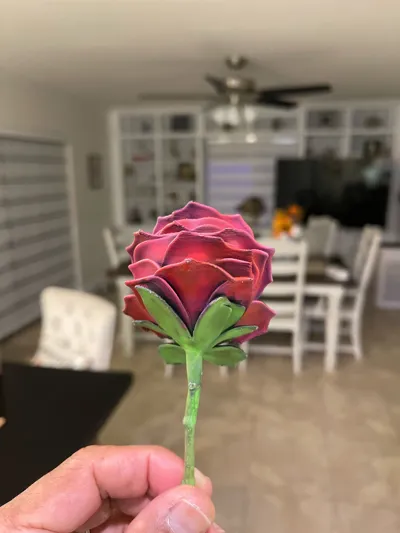 https://makerworld.bblmw.com/makerworld/model/1860345/2002445/ratings/f7b55970-b2d9-11f0-8150-a72766595e5c.jpg