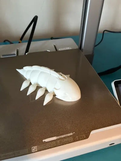 https://makerworld.bblmw.com/makerworld/model/1860348/1989692/ratings/952b4510-e756-11f0-8a3b-af48cf345128.jpg