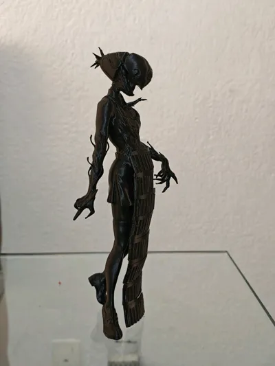 https://makerworld.bblmw.com/makerworld/model/1861456/1990988/ratings/8e55a890-dc78-11f0-b9ef-3f97ea75ff61.jpg