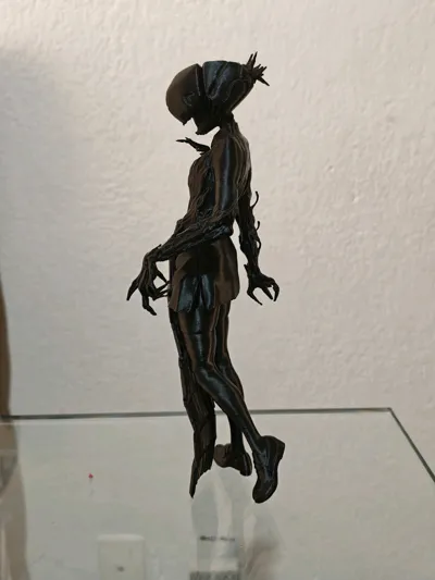 https://makerworld.bblmw.com/makerworld/model/1861456/1990988/ratings/8e566be0-dc78-11f0-b9ef-3f97ea75ff61.jpg