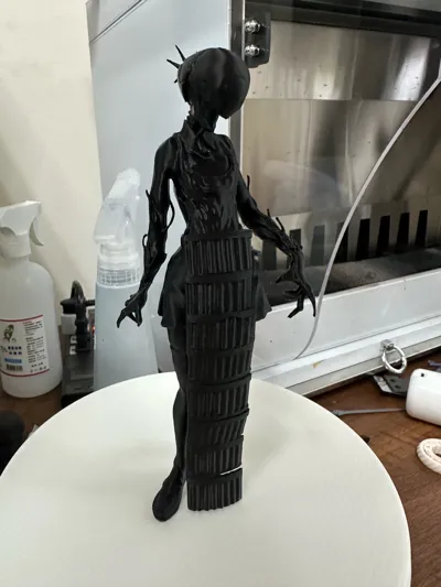 https://makerworld.bblmw.com/makerworld/model/1861456/1990988/ratings/d98c1b50-e4ca-11f0-8447-a94efd04c038.jpg