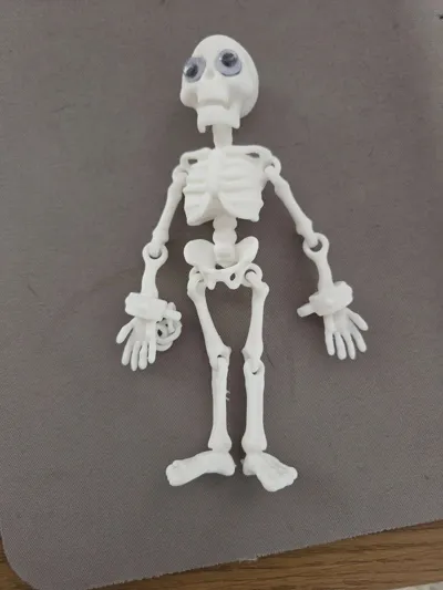 https://makerworld.bblmw.com/makerworld/model/1863480/1993435/ratings/4247d4f0-e245-11f0-bab3-7b8fd06e4965.jpg