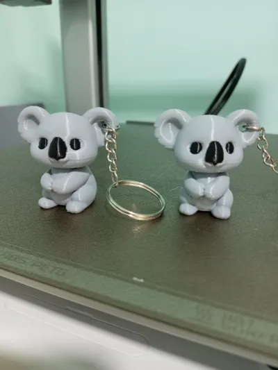 https://makerworld.bblmw.com/makerworld/model/1863508/1993462/ratings/a132d560-fb3f-11f0-8797-9383819682b5.jpg