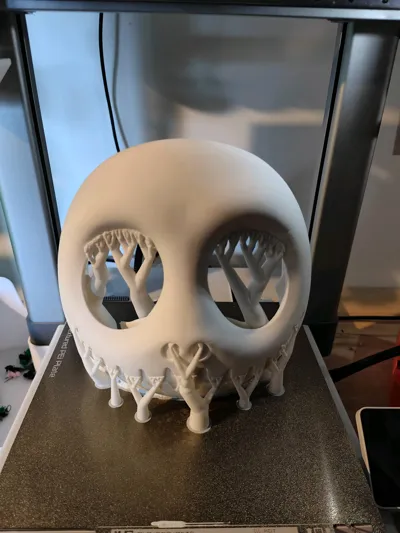 https://makerworld.bblmw.com/makerworld/model/1866837/1997438/ratings/7c490930-b1df-11f0-a96f-41945c8bd6bc.jpg