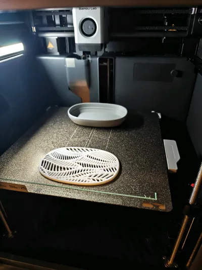 https://makerworld.bblmw.com/makerworld/model/1870601/2002175/ratings/c90a5b90-a602-11f0-bf48-0745e2000682.jpg