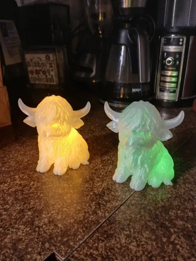 https://makerworld.bblmw.com/makerworld/model/1872044/2003853/ratings/c67f6bc0-e2db-11f0-80ed-c7eeebbd2952.jpg