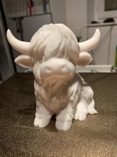 https://makerworld.bblmw.com/makerworld/model/1872044/2003853/ratings/f0a57b30-e595-11f0-98de-2d5ea0247ac8.jpg