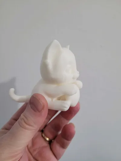 https://makerworld.bblmw.com/makerworld/model/1873267/2005225/ratings/a68e59e0-a5c6-11f0-9a3e-853dff6f4437.jpg