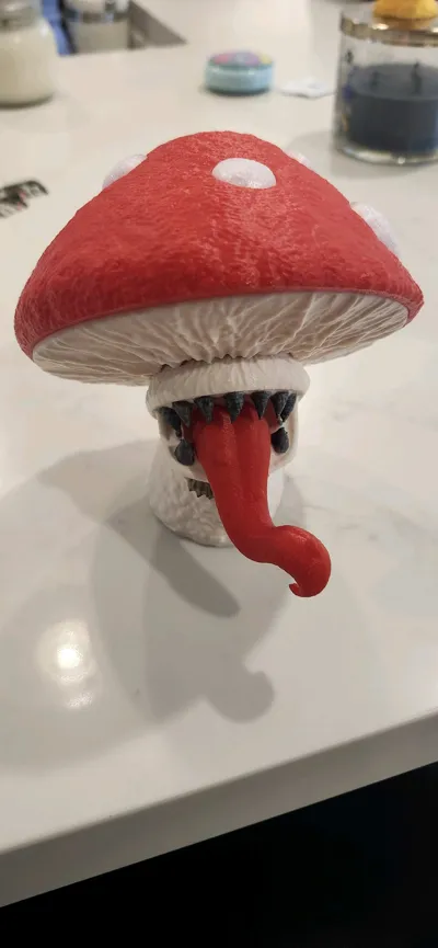 https://makerworld.bblmw.com/makerworld/model/1873353/2005327/ratings/0b058e10-ae9c-11f0-8cc9-d91737a601a0.jpg