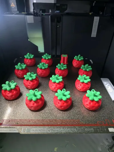 https://makerworld.bblmw.com/makerworld/model/1874981/2007205/ratings/84bffd40-dc04-11f0-a2f0-57b0bd2ffeaf.jpg