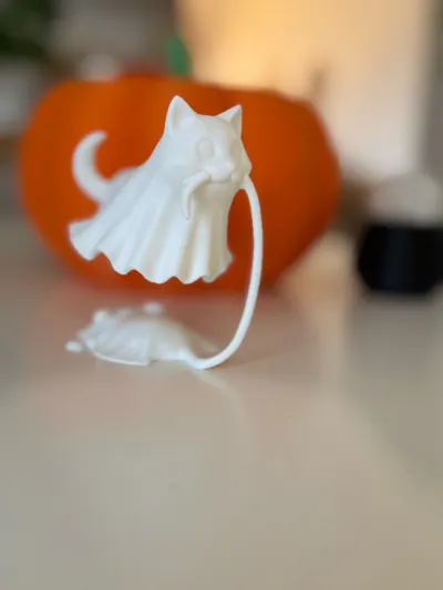 https://makerworld.bblmw.com/makerworld/model/1876399/2008826/ratings/876001c0-b1ad-11f0-83bb-1562786317e2.jpg