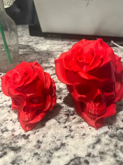 https://makerworld.bblmw.com/makerworld/model/1879336/2012243/ratings/6288aef0-ee4e-11f0-bee4-65df5144e5fb.jpg