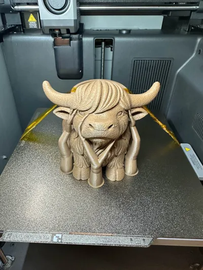 https://makerworld.bblmw.com/makerworld/model/1879457/2012384/ratings/787da4f0-e506-11f0-92ac-77d2c6f8e866.jpg