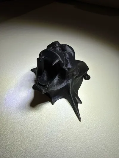 https://makerworld.bblmw.com/makerworld/model/1879493/2012433/ratings/9568cc10-a754-11f0-bafd-1f9e15f4623d.jpg