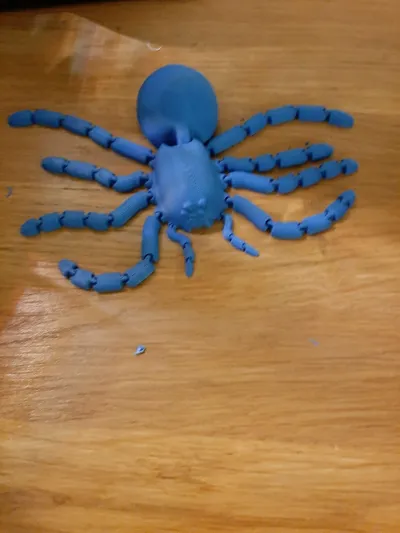 https://makerworld.bblmw.com/makerworld/model/1880053/2013055/ratings/8e3ab730-c245-11f0-9dd6-498576a46556.jpg