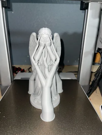 https://makerworld.bblmw.com/makerworld/model/1880254/2013298/ratings/16234b30-cd68-11f0-9ef8-d101fba4e18a.jpg