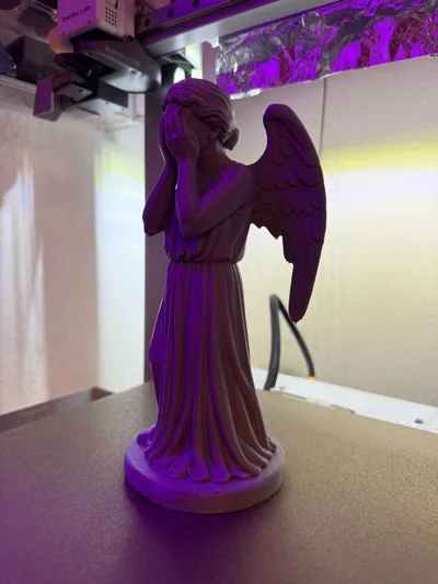 https://makerworld.bblmw.com/makerworld/model/1880254/2013298/ratings/8b8989a0-da9e-11f0-940e-89288d89fff3.jpg