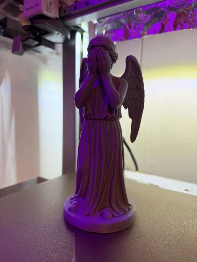 https://makerworld.bblmw.com/makerworld/model/1880254/2013298/ratings/8b89d7c0-da9e-11f0-940e-89288d89fff3.jpg