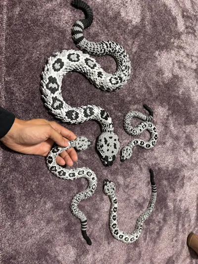 Model Magic Rattlesnake Articulated rattlesnake 2.0 (Eastern Diamondback) - Free 3D Print Model ...