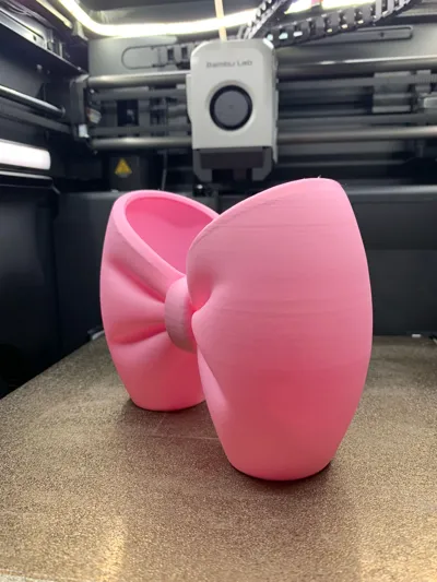 https://makerworld.bblmw.com/makerworld/model/1882395/2015722/ratings/90d5a560-c9f0-11f0-83cf-d544d6c4f885.jpg