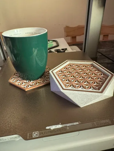 https://makerworld.bblmw.com/makerworld/model/1882873/2016266/ratings/3d288c10-f223-11f0-8c2a-73877874ae4f.jpg