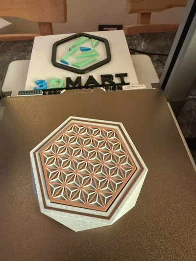 https://makerworld.bblmw.com/makerworld/model/1882873/2016266/ratings/3d2d4700-f223-11f0-8c2a-73877874ae4f.jpg