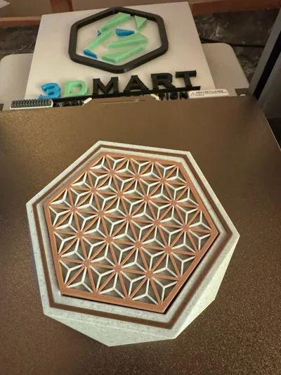 https://makerworld.bblmw.com/makerworld/model/1882873/2016266/ratings/3d2f90f0-f223-11f0-8c2a-73877874ae4f.jpg