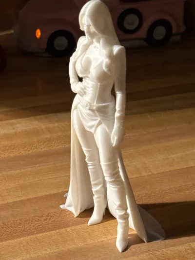 https://makerworld.bblmw.com/makerworld/model/1885068/2163265/ratings/7be77530-c96d-11f0-8744-2bdf76d5b335.jpg