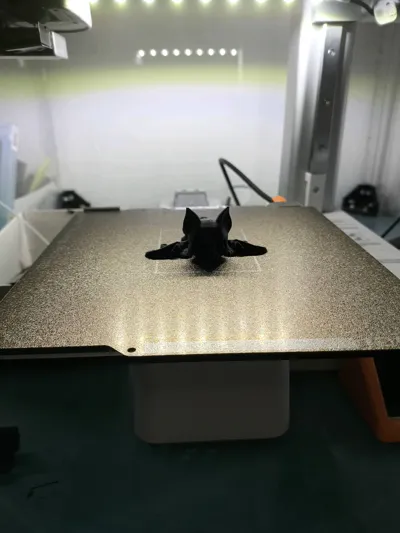 https://makerworld.bblmw.com/makerworld/model/1885511/2035656/ratings/0d54bba0-cfc1-11f0-83b3-1788103d11da.jpg