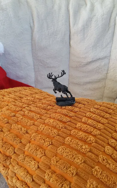 https://makerworld.bblmw.com/makerworld/model/1890705/2025353/ratings/28d39630-d476-11f0-bb8b-2181bab916f6.jpg