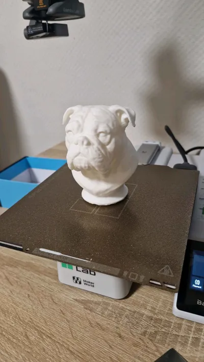 https://makerworld.bblmw.com/makerworld/model/1890769/2025423/ratings/adc8e860-f08f-11f0-b618-03be2f723e93.jpg