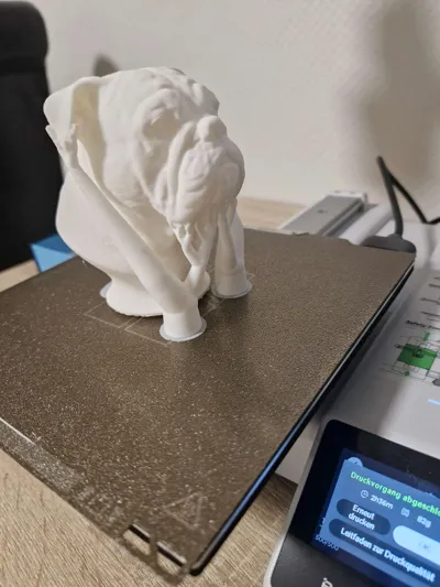 https://makerworld.bblmw.com/makerworld/model/1890769/2025423/ratings/adca9610-f08f-11f0-b618-03be2f723e93.jpg