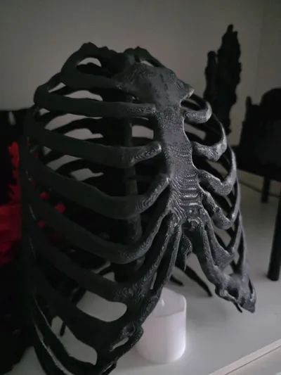 https://makerworld.bblmw.com/makerworld/model/1891263/2026016/ratings/59ec09f0-af6e-11f0-909a-155774205d93.jpg