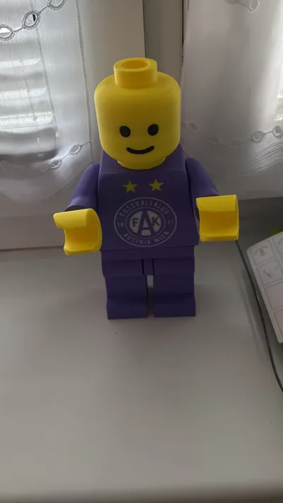 https://makerworld.bblmw.com/makerworld/model/1891882/2026653/ratings/44fb2140-f2b0-11f0-bbf5-ddbc20d8f93d.jpg
