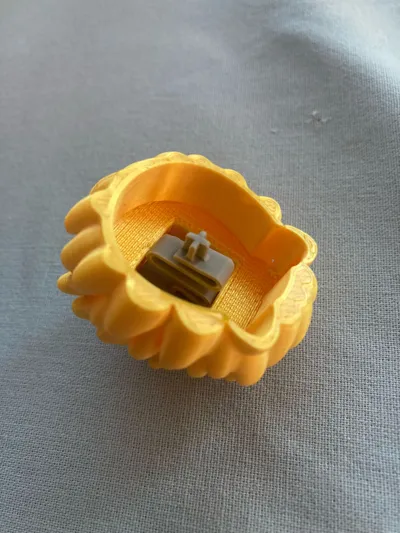 https://makerworld.bblmw.com/makerworld/model/1891920/2026692/ratings/08eb2790-c079-11f0-ba6f-6f75cf01a42b.jpg