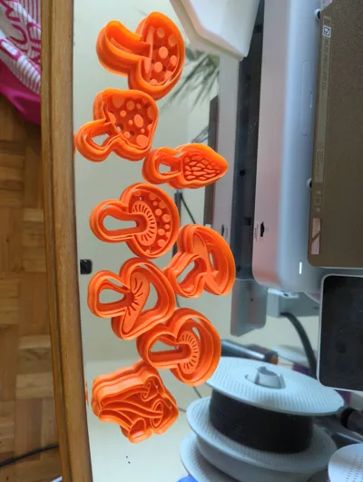 https://makerworld.bblmw.com/makerworld/model/1893012/2027987/ratings/319c2270-cc63-11f0-bb9e-891ca0c6c7d2.jpg