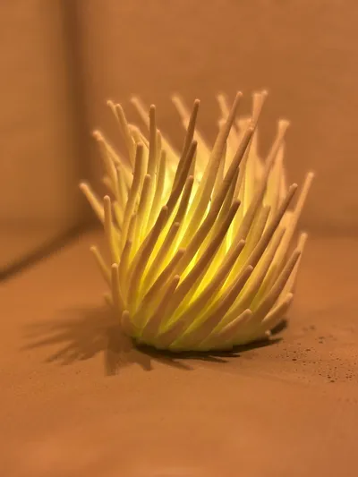 https://makerworld.bblmw.com/makerworld/model/1893087/2028087/ratings/3bd493e0-b943-11f0-8fc8-dfb407b69457.jpg